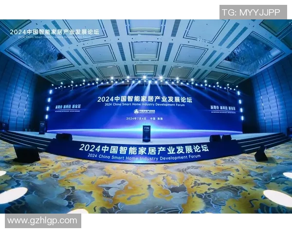 WE战队崛起之路揭秘：从传统强队到多元化发展的新篇章