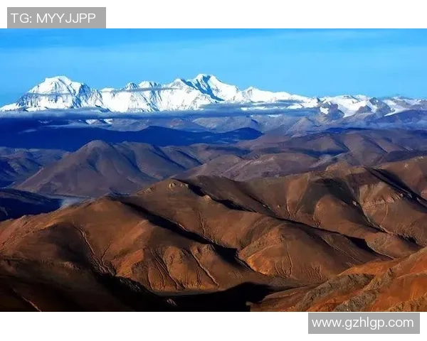 杨秀英亲授攀岩技巧与经验分享助你轻松征服高峰